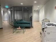 À LOUER A  STRASSEN: Bureaux de 266 m² dans un immeuble à usage commercial - Image #8