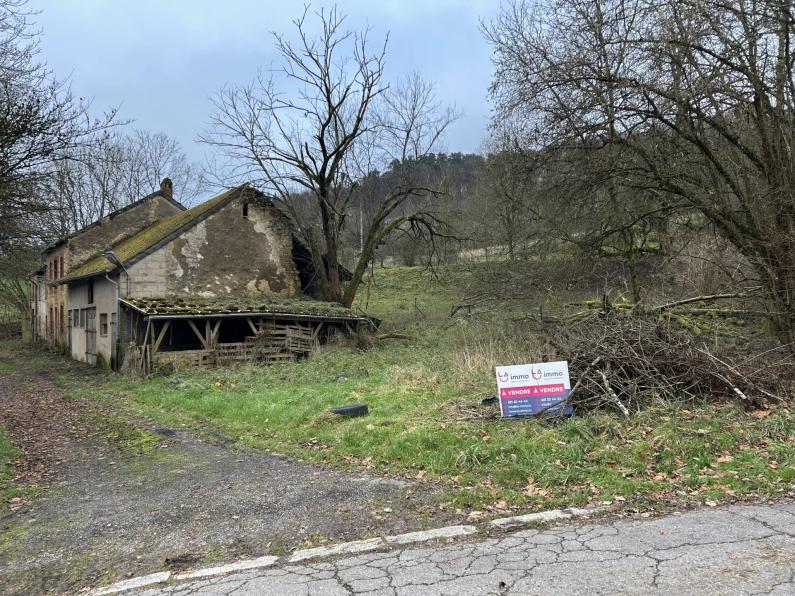 Vente d’un terrain exceptionnel à Hunsdorf - Image #1