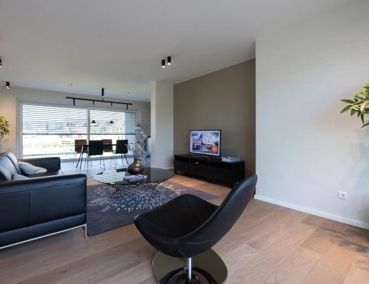 Image #12 Image - Image #12